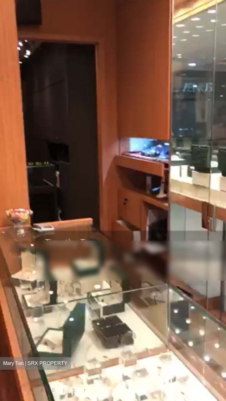 Lucky Plaza (D9), Shop House #338449131